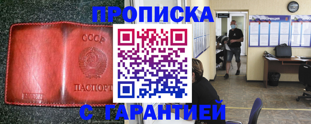 прописка гарантия в Стародубе